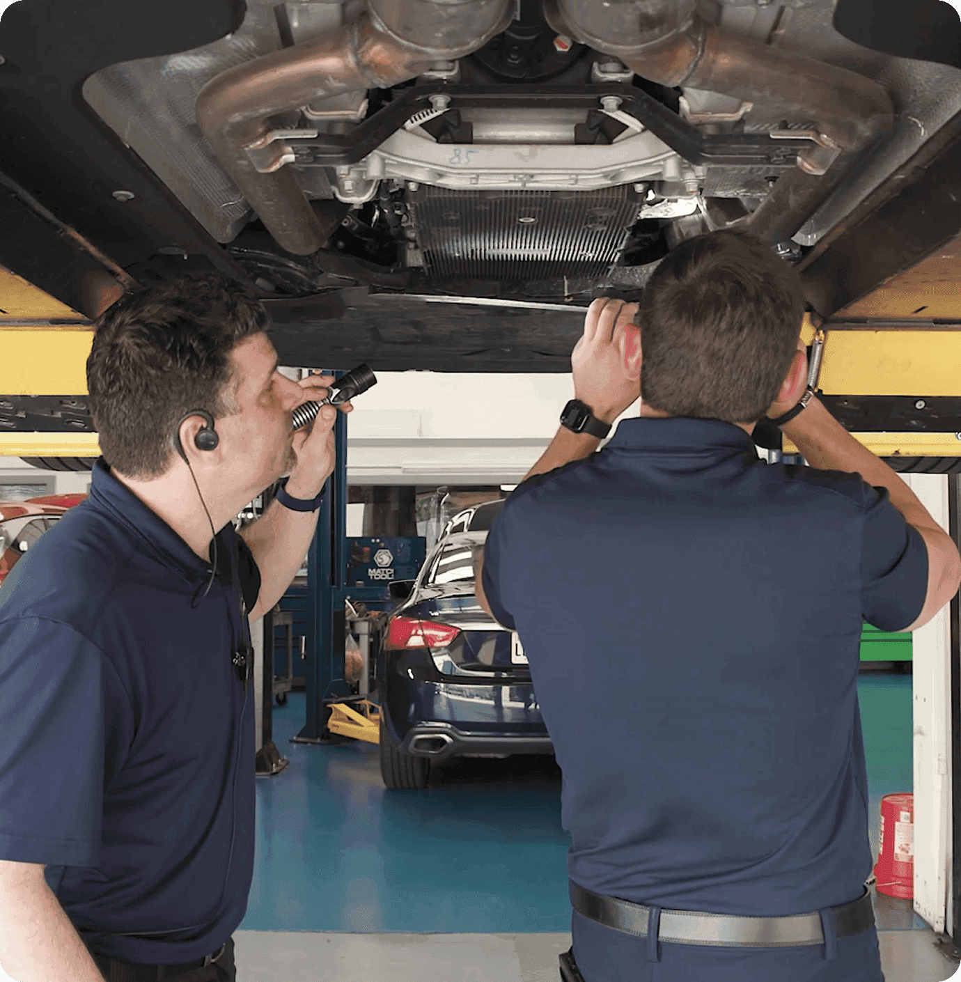 Auto & Dealers